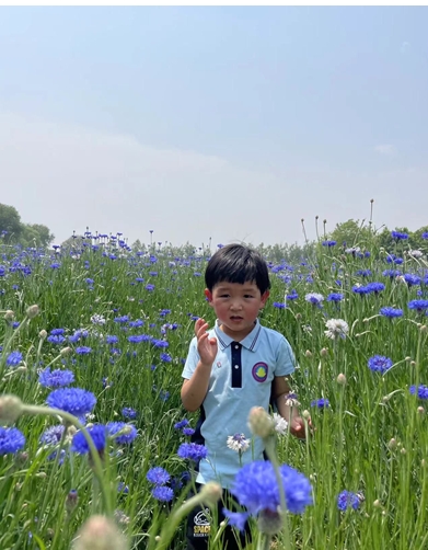 走失者照片 酒泉市敦煌市寻亲：4岁男孩自幼被救...