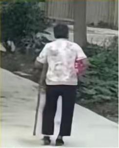 走失者照片 滁州市寻人：六旬老太走失，穿白色碎...