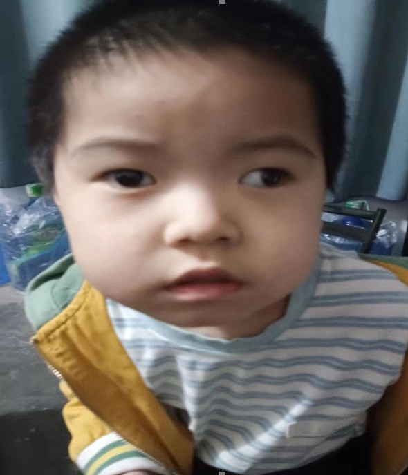 走失者照片 爸爸妈妈你们在哪儿？周口市5岁男童...