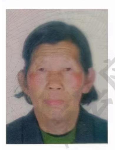 走失者照片 保定市寻人：八旬老太失联，骑脚蹬三...