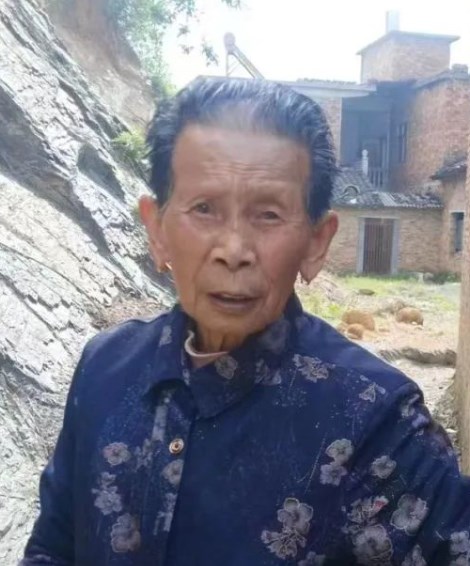 走失者照片 黄石市急寻：八旬老太走失，穿绿色花...