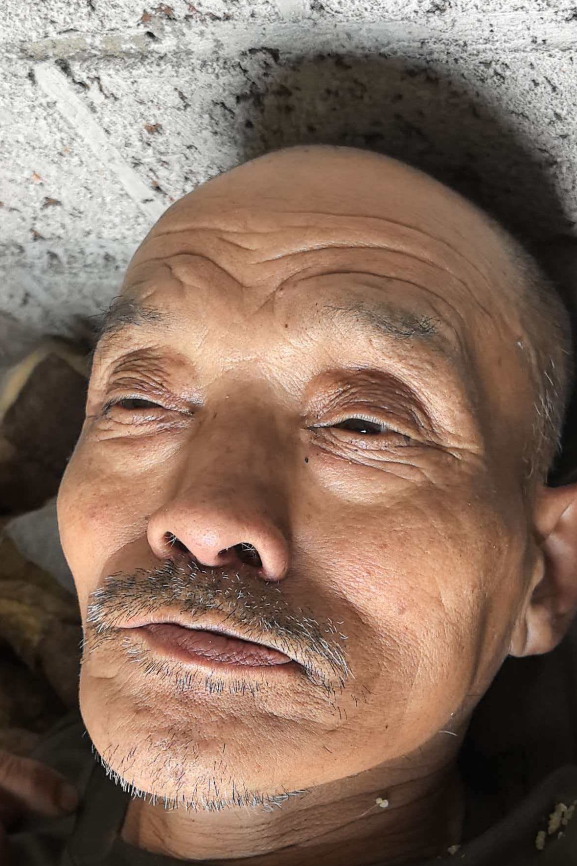 走失者照片 全国救助站