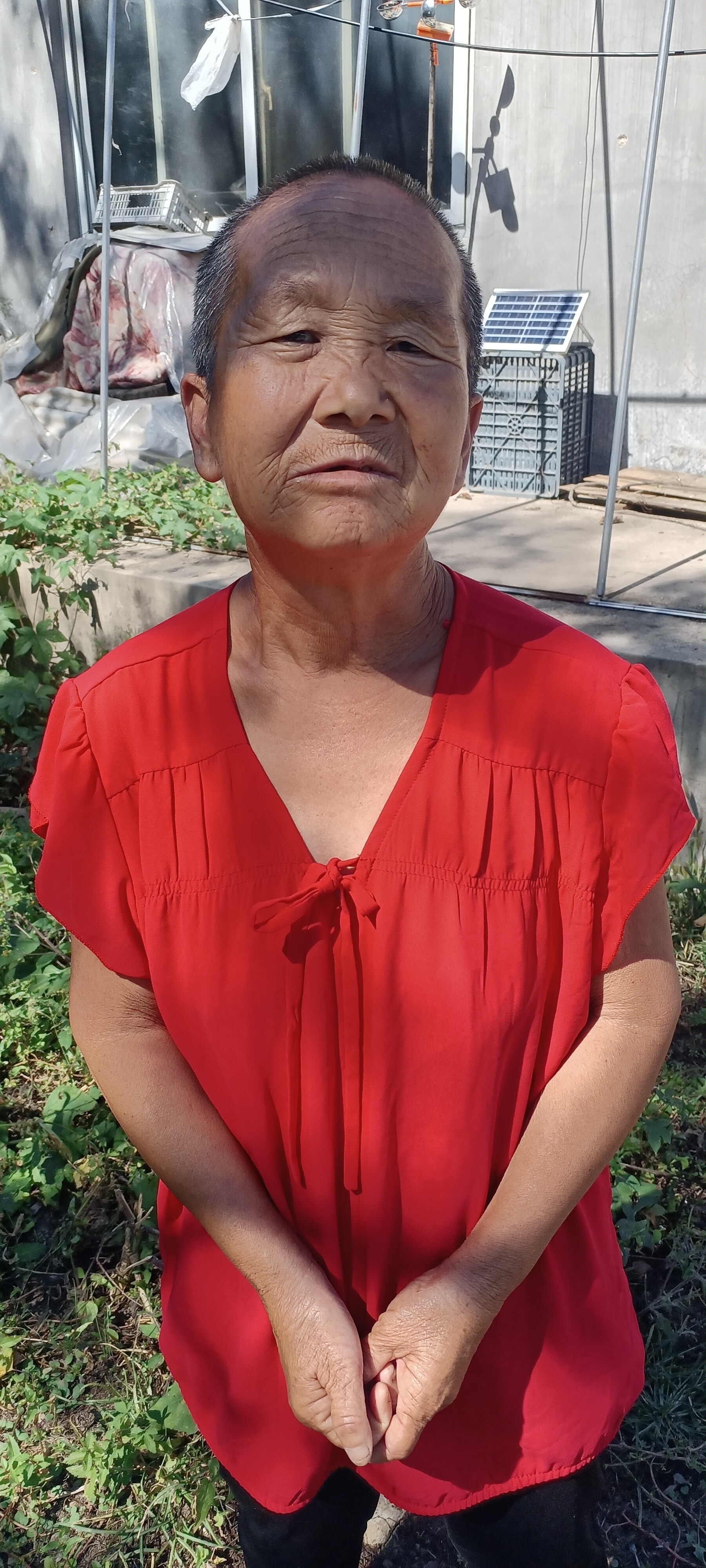走失者照片 辽阳市寻亲：六旬老太被救助，自述小...