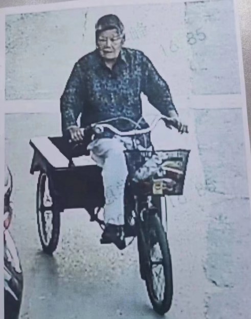 走失者照片 连云港市急寻：八旬老太走失，患小脑...