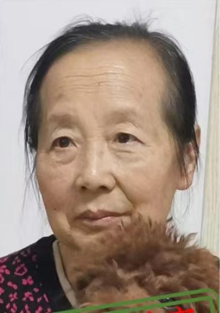 走失者照片 廊坊市寻人：七旬老太走失，穿灰色短...