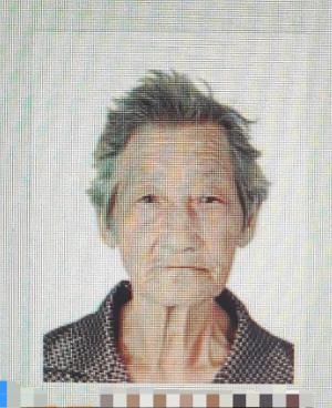 走失者照片 许昌市禹州市急寻！八旬老太走失，高...