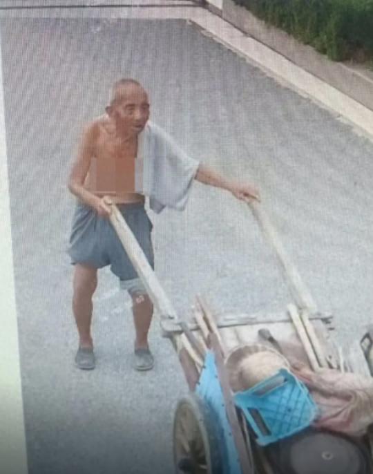 走失者照片 聊城市寻人：七旬老人走失，穿灰色裤...
