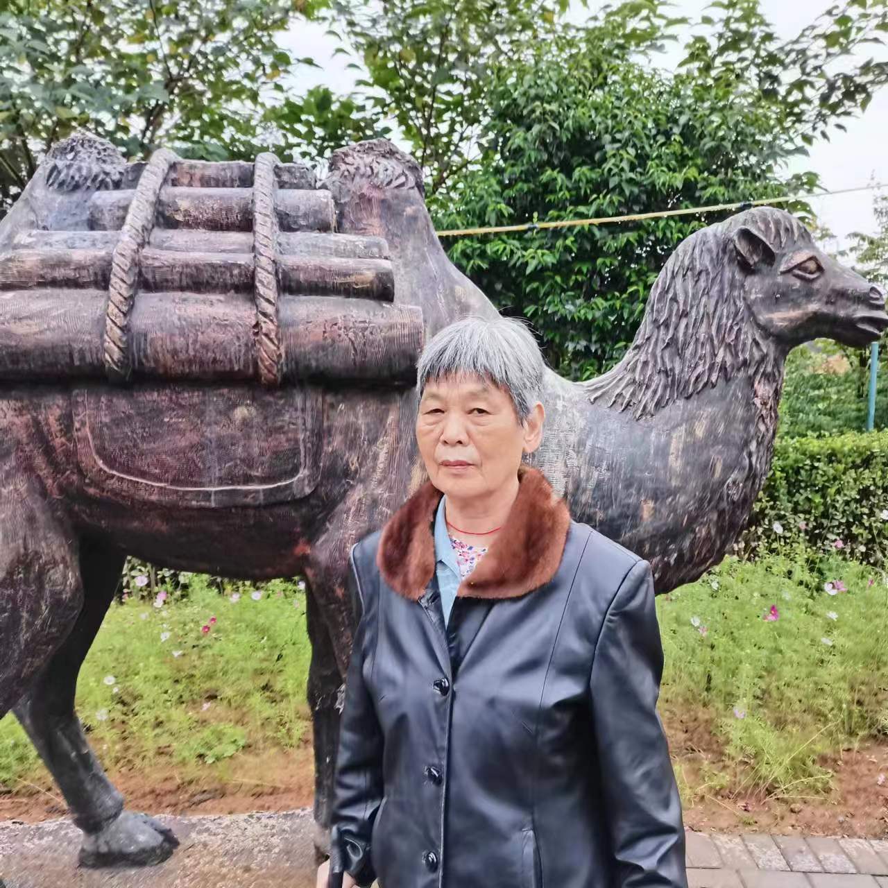 走失者照片 洛阳市急寻：八旬老太走失，穿花色衬...
