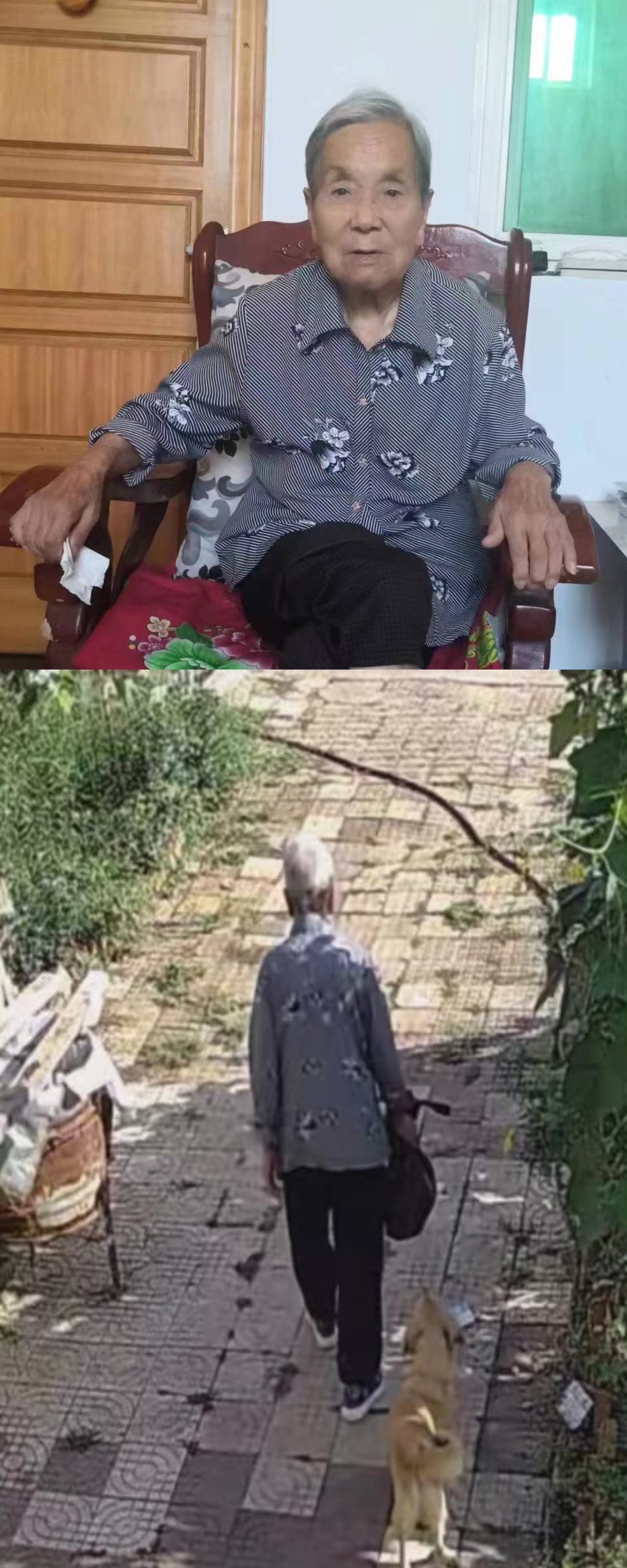 走失者照片 西安市急寻：八旬老太走失，穿蓝灰色...