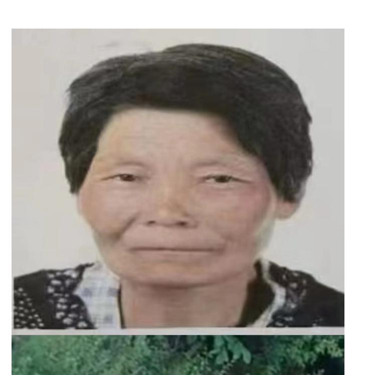 走失者照片 西安市寻人：六旬老太走失，患脑梗后...
