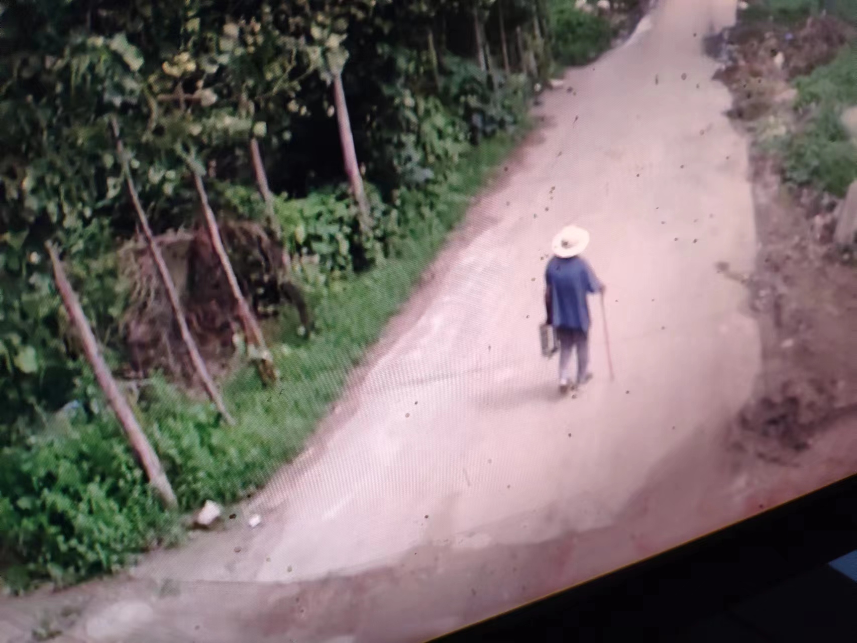 走失者照片 八旬老人在郑州市失联，穿蓝色短袖，...
