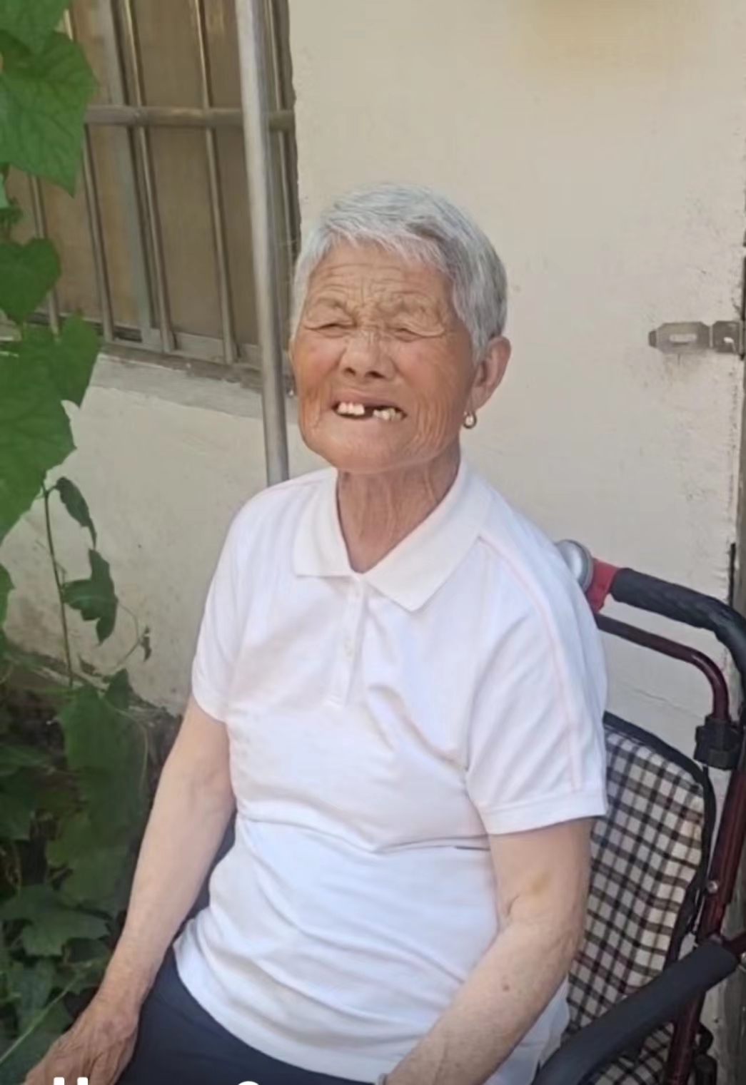 走失者照片 连云港市寻人：八旬老太走失，患脑萎...