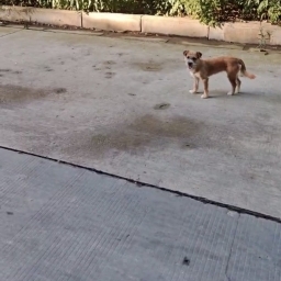 走失者照片 豆包