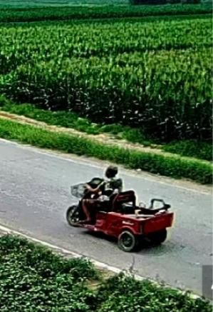 走失者照片 保定市寻人：八旬老太走失，患小脑萎...