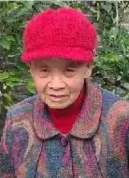 走失者照片 凉山州寻人：会理七旬老太走失，穿花...