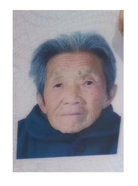 走失者照片 洛阳市寻人：八旬老太走失，穿碎花衣...