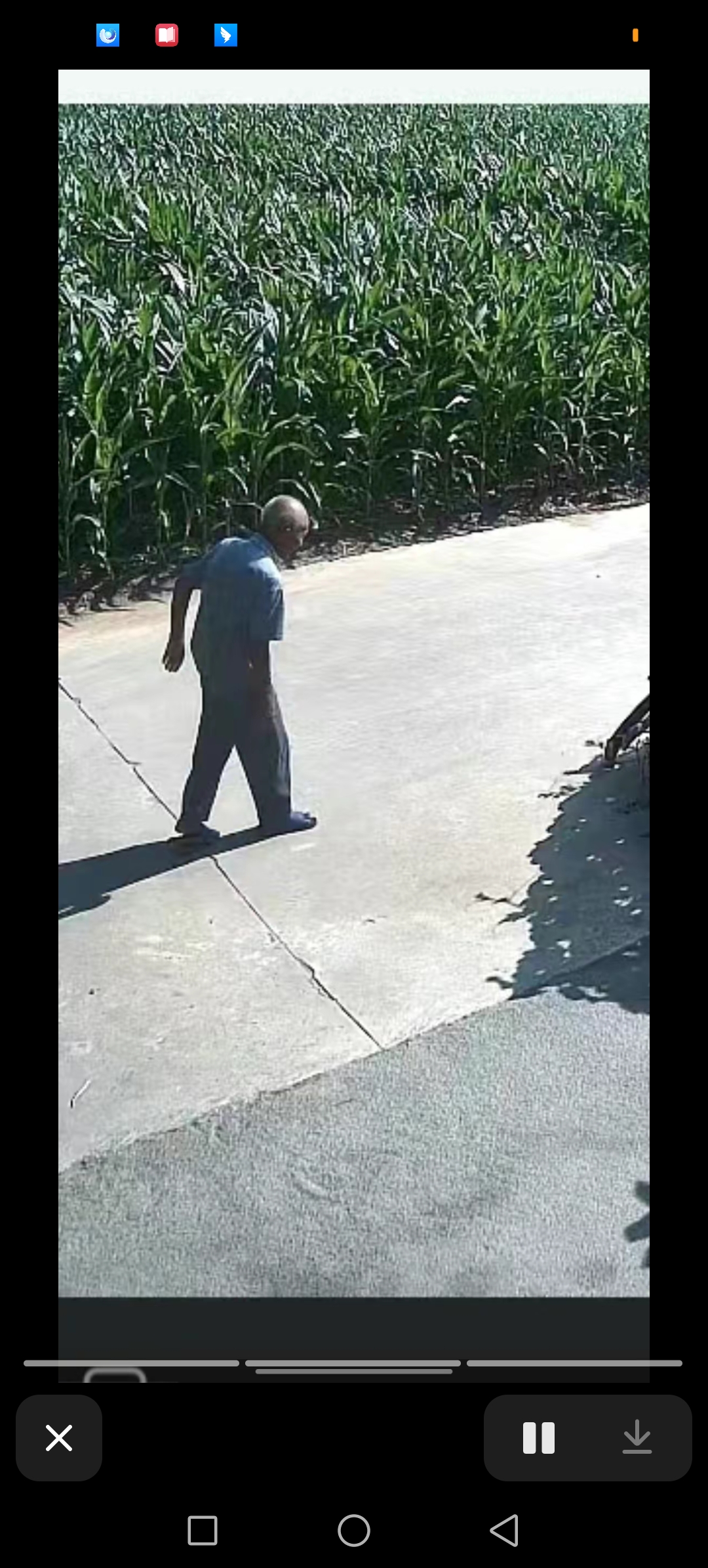 走失者照片 周口市急寻：八旬老人走失，穿蓝色衬...
