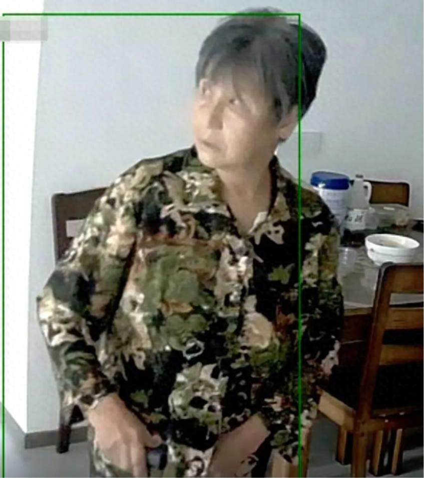 走失者照片 西安市寻人：七旬老太走失，患脑梗后...