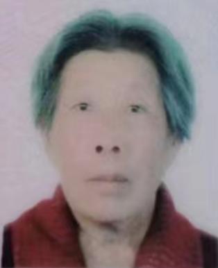 走失者照片 周口市急寻：七旬老太走失，穿枣红色...
