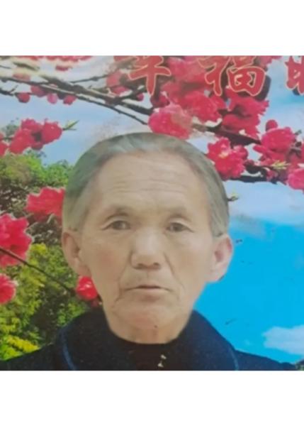 走失者照片 菏泽市寻人：七旬老太走失，花白头发...