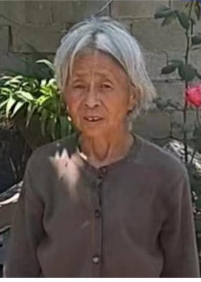 走失者照片 驻马店急寻：七旬老太走失，穿花上衣...
