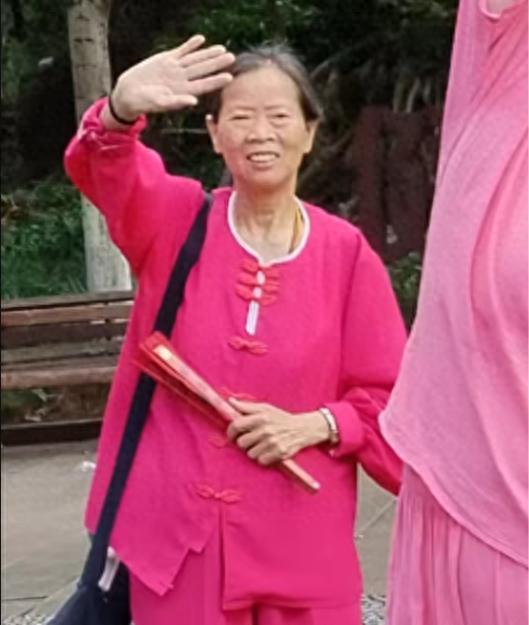 走失者照片 重庆市寻人：七旬老太走失，穿粉红色...