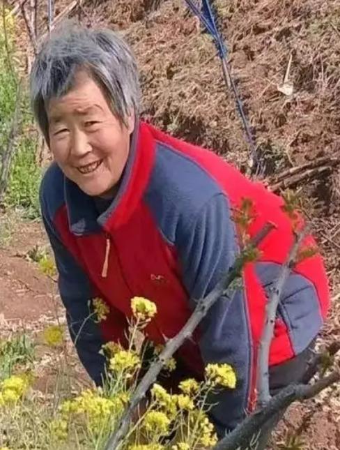 走失者照片 济南急寻：六旬老太失联，高1米63