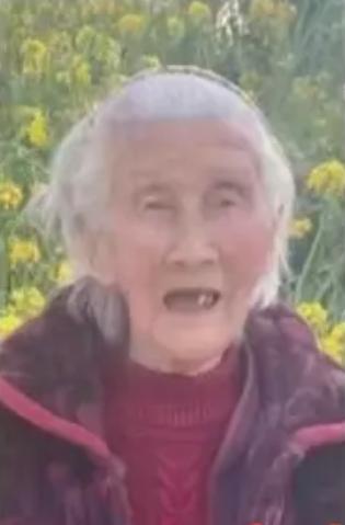 走失者照片 岳阳急寻：百岁老太走失，穿蓝底白花...