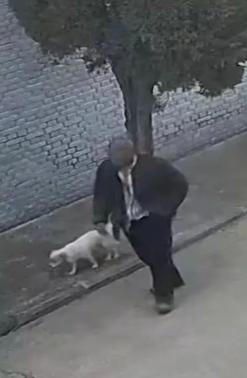 走失者照片 晋城寻人：六旬老人走失数日，携带白...