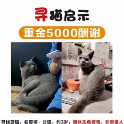 走失者照片 厚福