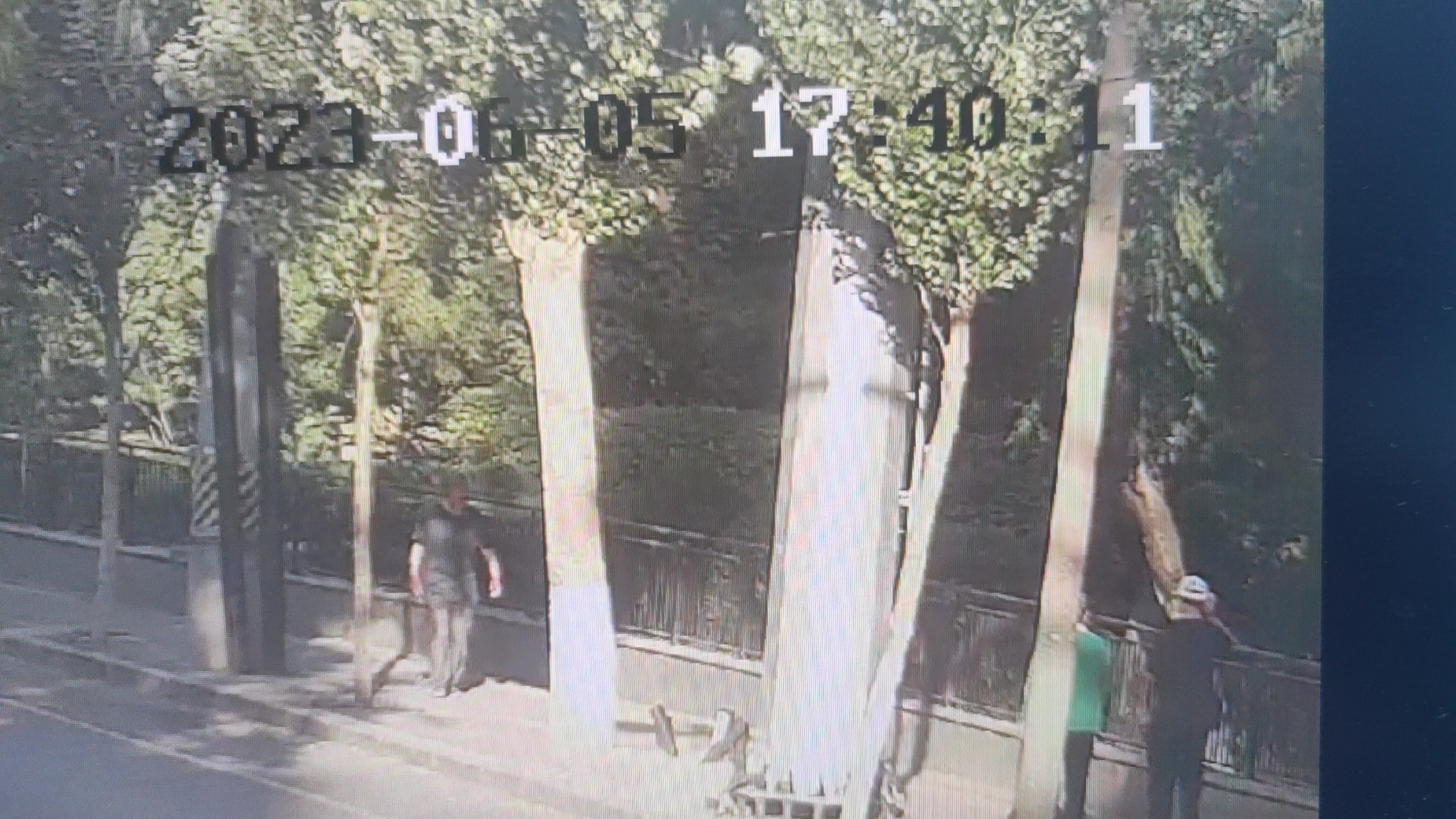 走失者照片 沈阳急寻：七旬老人失联，穿蓝色T恤...