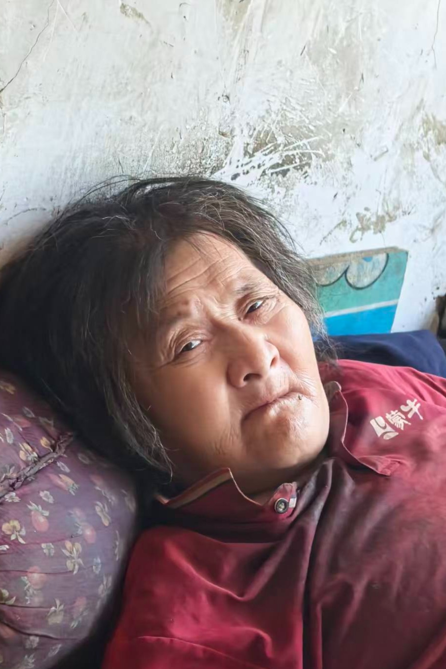 走失者照片 全国救助站