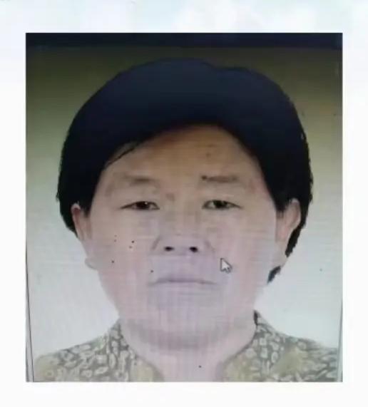 走失者照片 徐州寻人：六旬老太走失，穿粉色短袖...