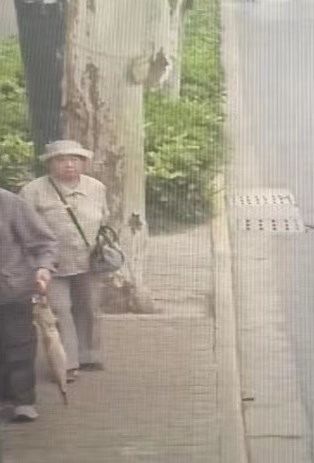 走失者照片 马鞍山急寻：七旬老太走失，穿灰白色...