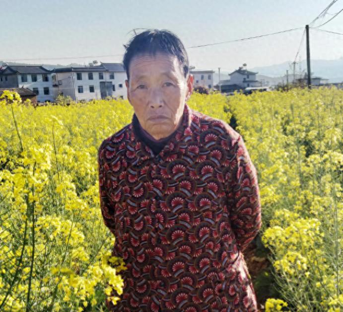 走失者照片 楚雄州寻人：六旬老太走失，患精神障...
