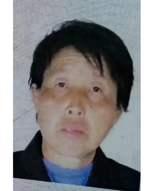 走失者照片 大同寻人：七旬老太失联，穿蓝绿上衣...
