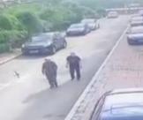 走失者照片 沈阳急寻：八旬老人走失，患阿尔茨海...