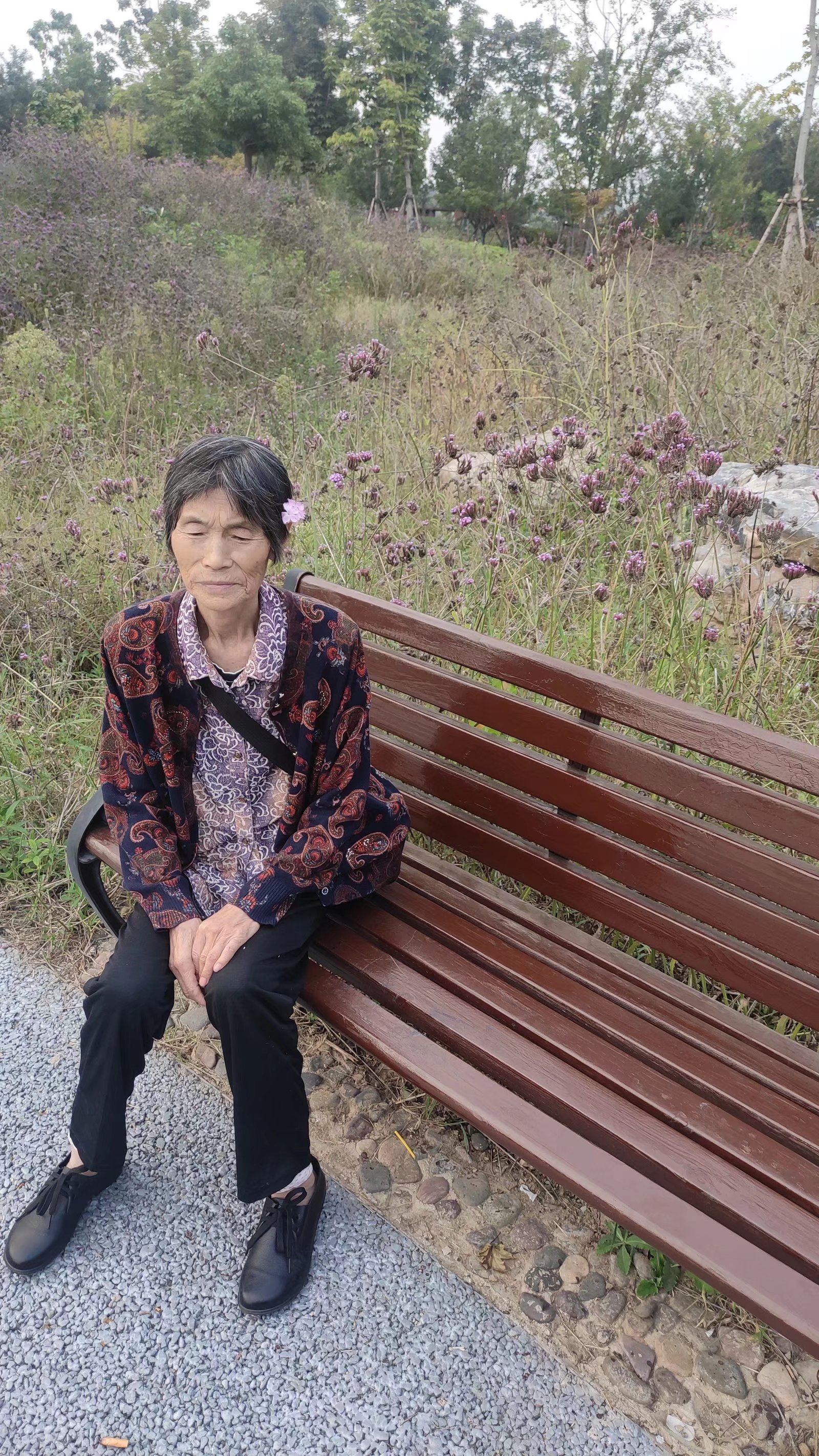 走失者照片 许昌寻人！七旬老太失联，穿深绿色上...