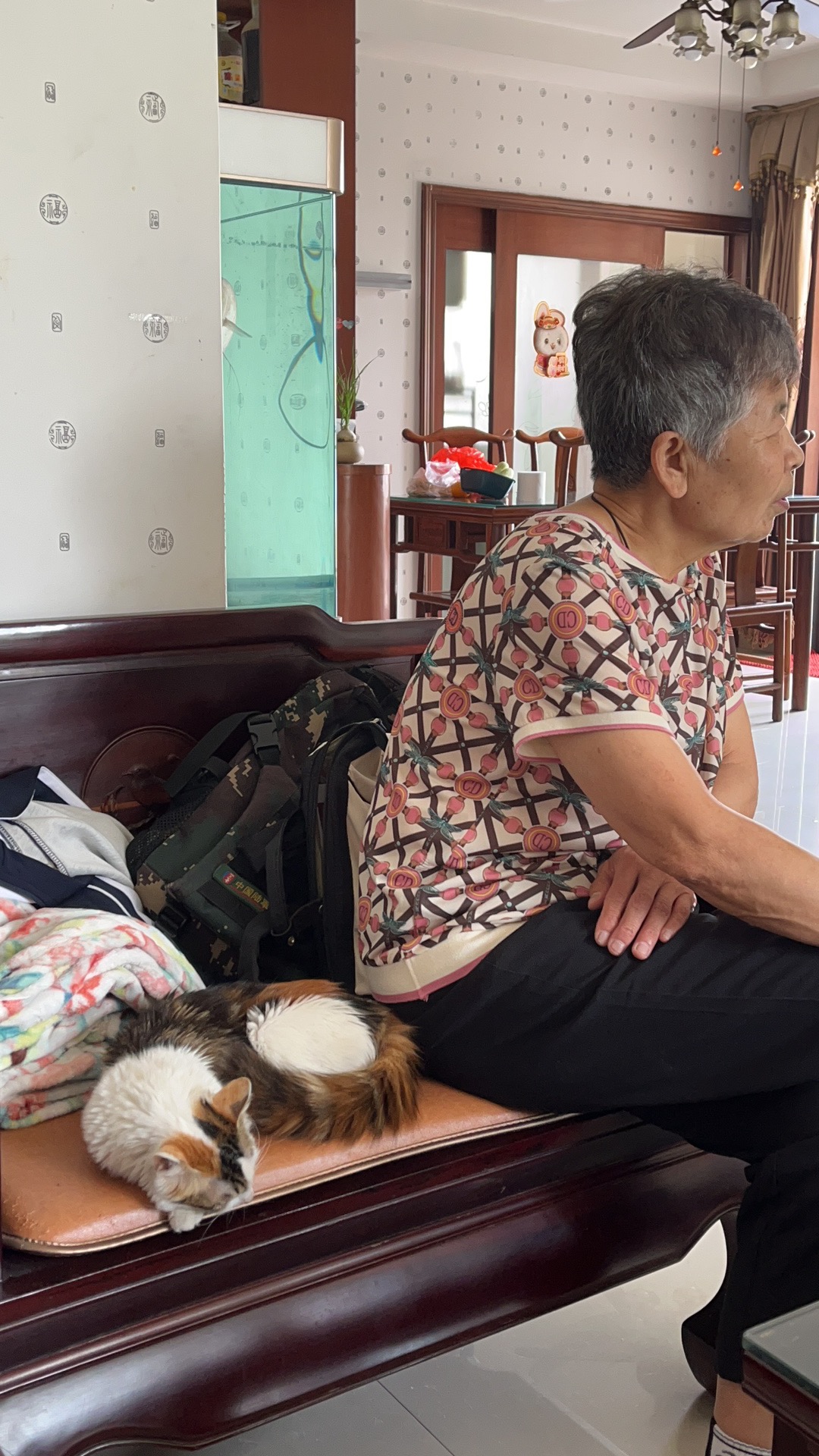 走失者照片 辽源急寻：七旬老太走失，患脑梗后遗...