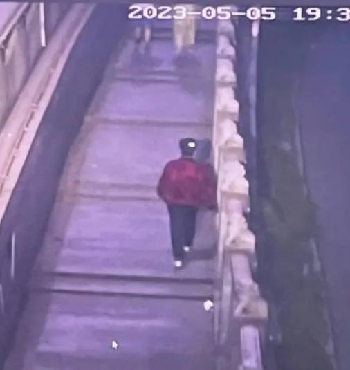 走失者照片 衡阳耒阳寻人：五旬女子走失，精神异...