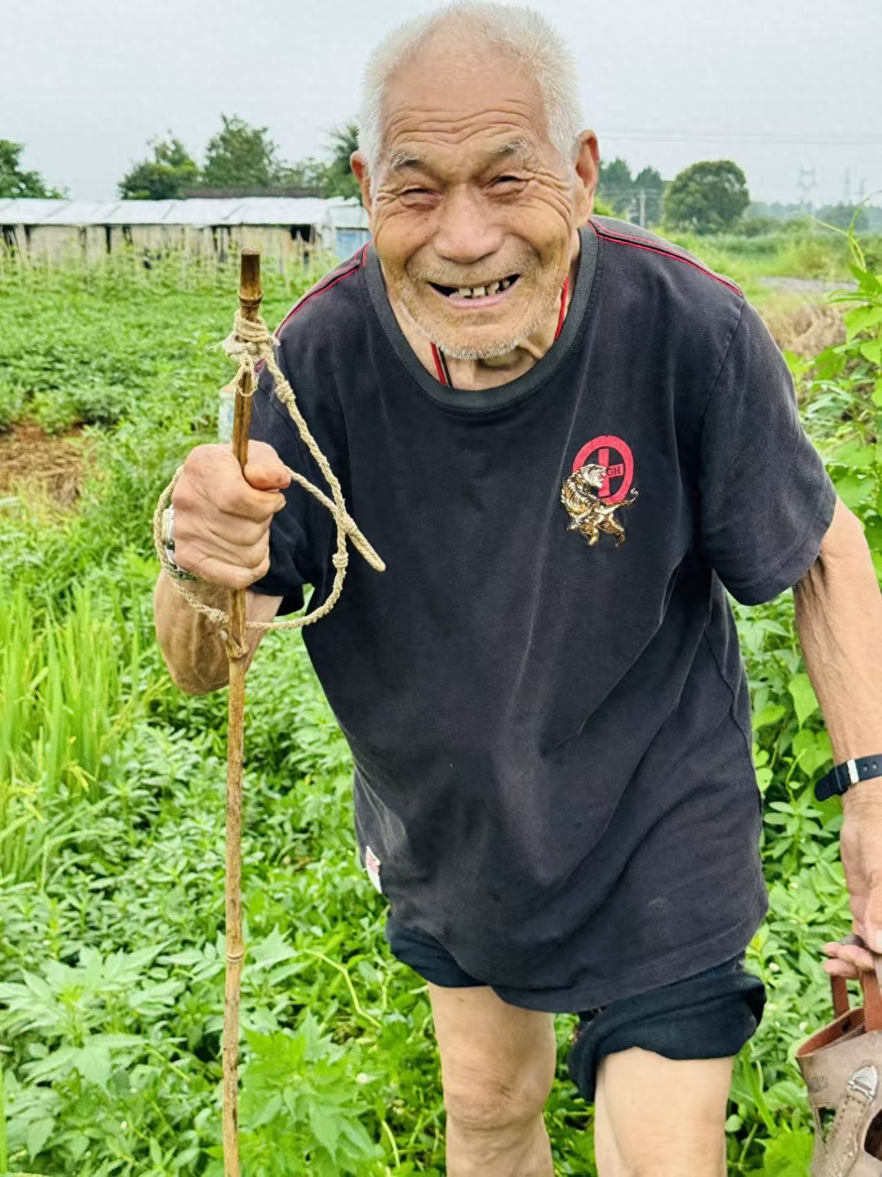 走失者照片 宜春市高安市寻人：八旬老人走失，穿...