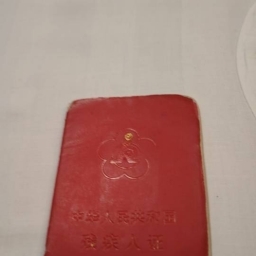 走失者照片 残疾证