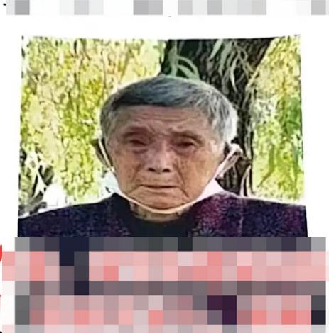 走失者照片 武汉寻人：八旬老太走失，穿紫底红色...