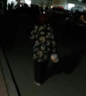 走失者照片 沈阳寻人：七旬老太失联，穿花上衣、...
