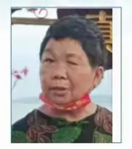 走失者照片 南阳七旬老太走失，穿红色球衣、黑色...