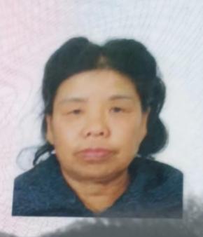 走失者照片 沈阳寻人：七旬老太失联，穿花上衣、...