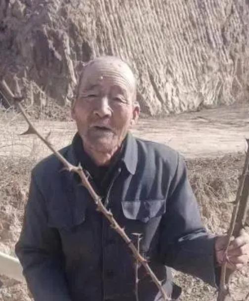 走失者照片 平凉市七旬老人走失，穿灰色上衣、灰...