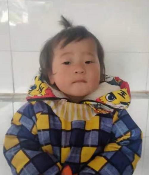 走失者照片 爸爸妈妈你们在哪儿？重庆2岁女孩自...