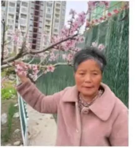 走失者照片 淮北急寻：六旬老太走失，穿米色呢子...