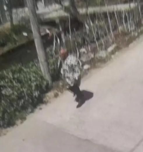 走失者照片 南通急寻：七旬老人走失，穿迷彩上衣...